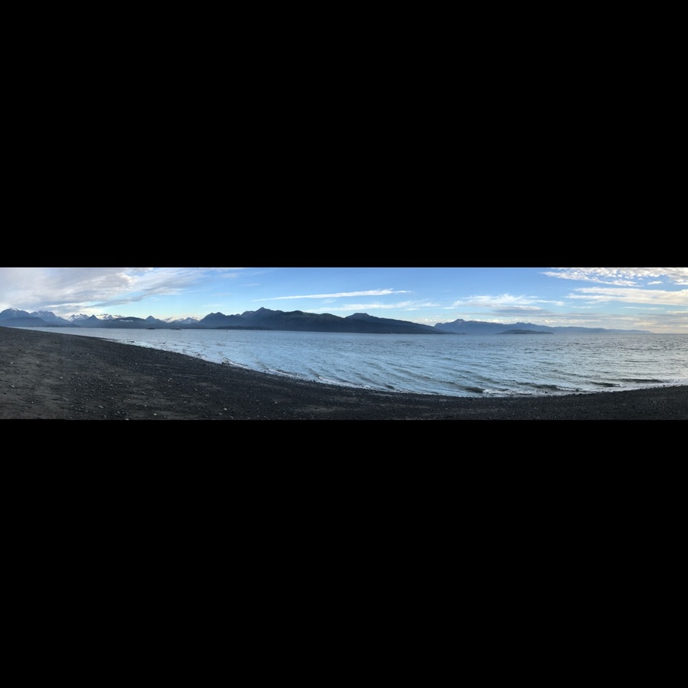 Meet your Posher, Jenny